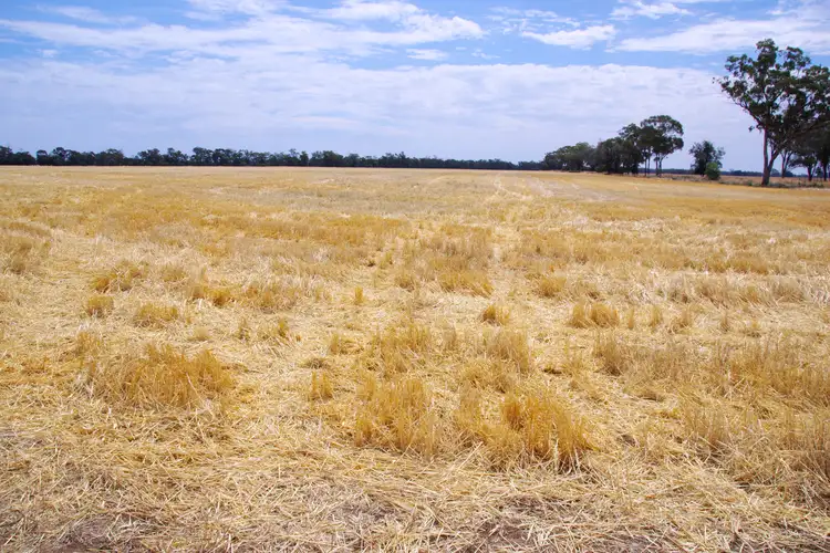 Fourth view of Homely rural property listing, 244 HD Creek Road, Wee Waa NSW 2388