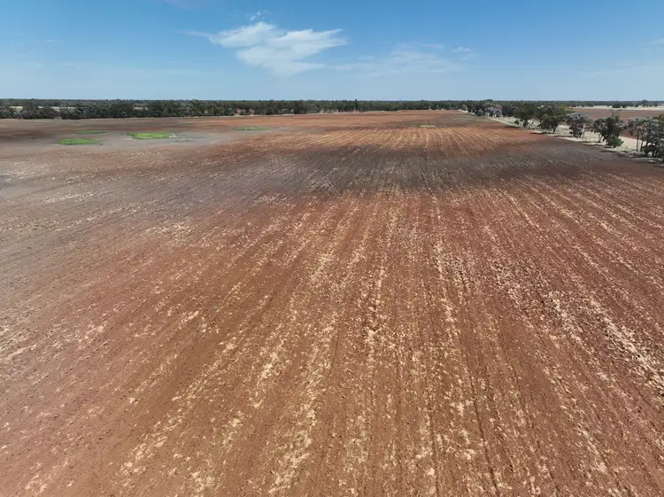 Fifth view of Homely rural property listing, 244 HD Creek Road, Wee Waa NSW 2388