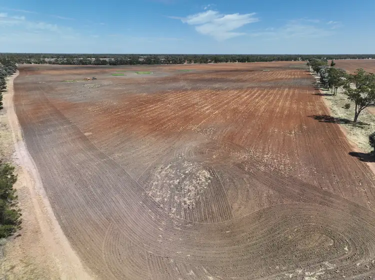 Sixth view of Homely rural property listing, 244 HD Creek Road, Wee Waa NSW 2388