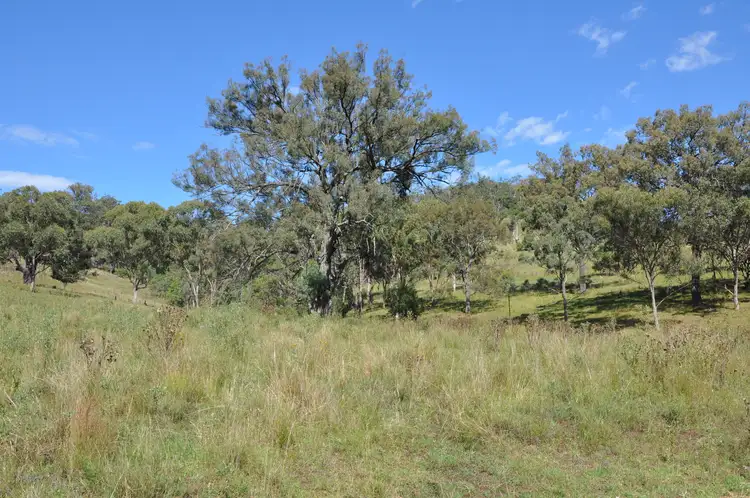 Sixth view of Homely rural property listing, 'Top Nioka' 385 Gibbergunyah Rd, Scone NSW 2337
