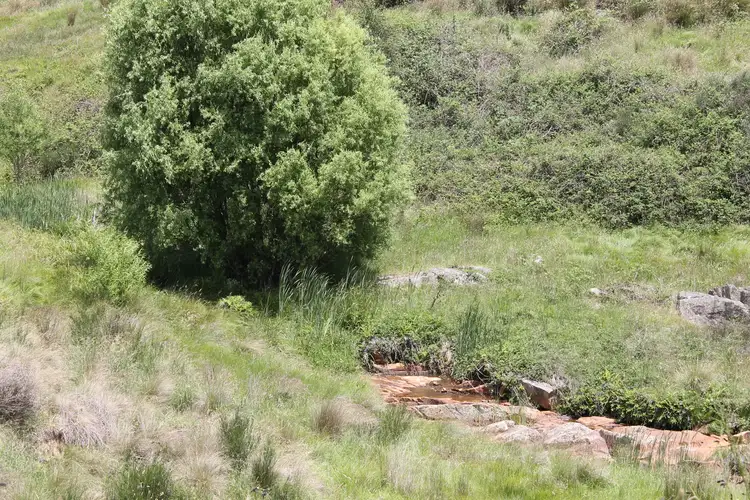 Second view of Homely land listing, 10 George Street, Majors Creek NSW 2622