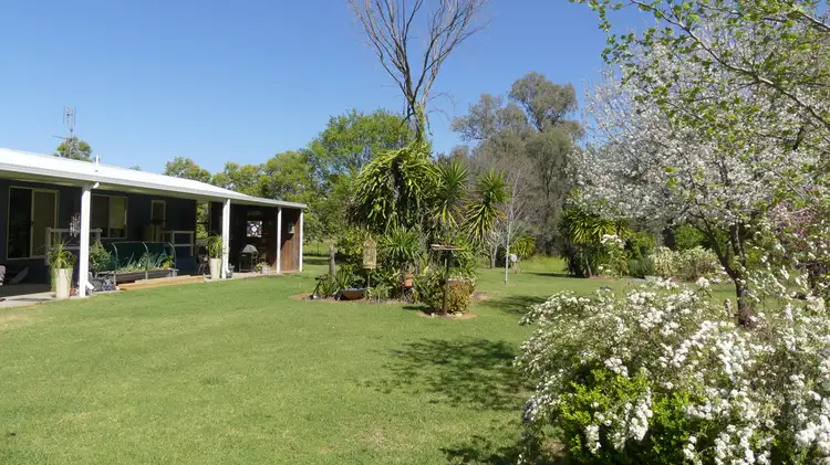 Main view of Homely rural property listing, 343 Rifle Range Rd, Warren NSW 2824