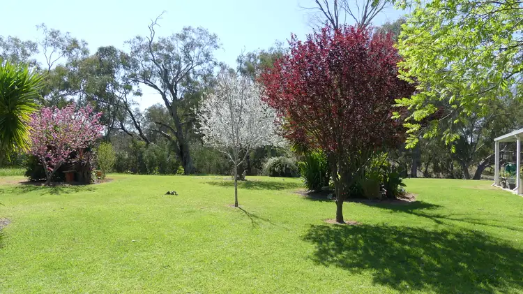 Third view of Homely rural property listing, 343 Rifle Range Rd, Warren NSW 2824