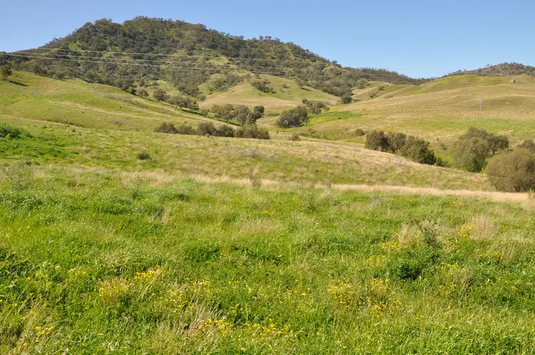 Second view of Homely rural property listing, 'Figtree' Rouchel Gap Rd, Mccullys Gap NSW 2333