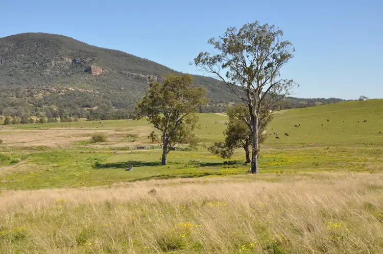 Third view of Homely rural property listing, 'Figtree' Rouchel Gap Rd, Mccullys Gap NSW 2333