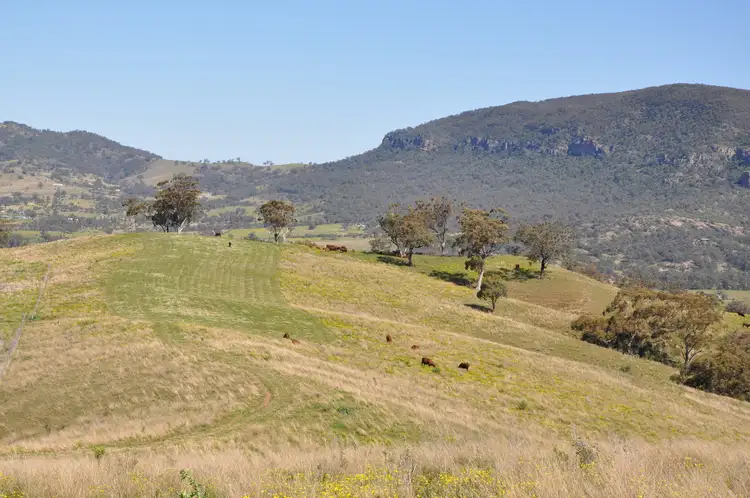 Fourth view of Homely rural property listing, 'Figtree' Rouchel Gap Rd, Mccullys Gap NSW 2333