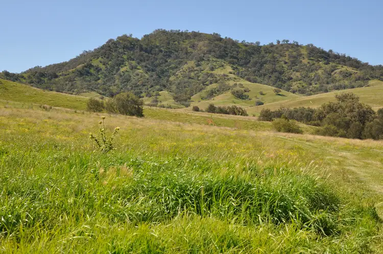 Sixth view of Homely rural property listing, 'Figtree' Rouchel Gap Rd, Mccullys Gap NSW 2333