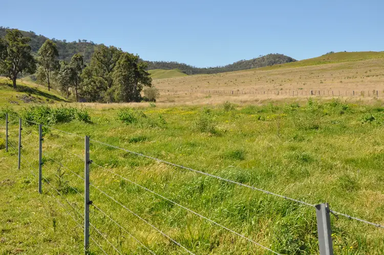 Seventh view of Homely rural property listing, 'Figtree' Rouchel Gap Rd, Mccullys Gap NSW 2333