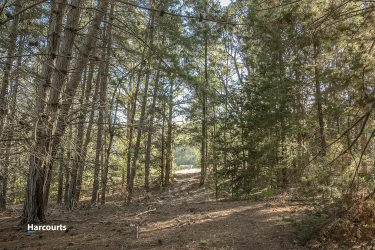 Third view of Homely land listing, 38 Autumn Road, Cradoc TAS 7109