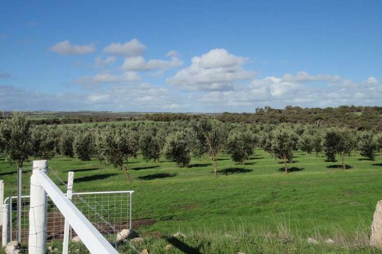 Main view of Homely ruralOther listing, Lot 28 Brand Highway, Bookara WA 6525