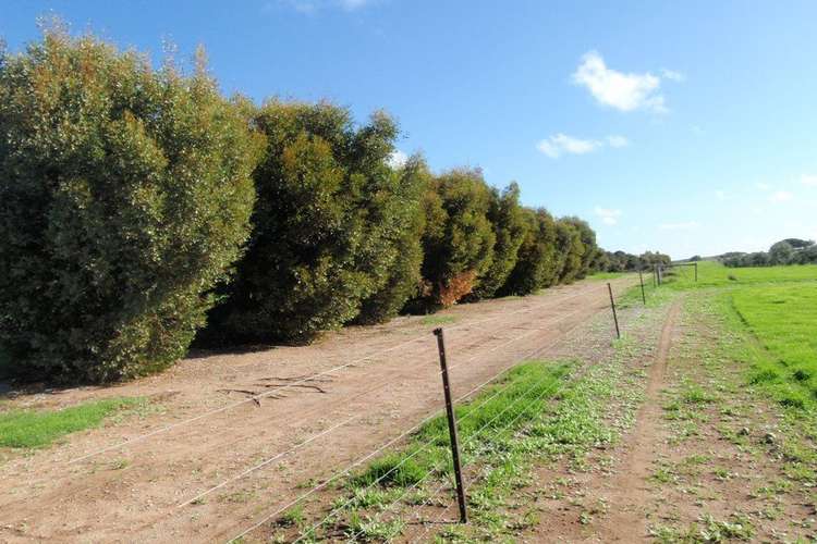 Sixth view of Homely ruralOther listing, Lot 28 Brand Highway, Bookara WA 6525