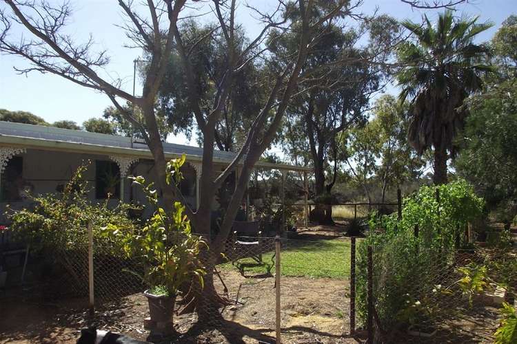 Main view of Homely house listing, 94 Daly Street, Arrino WA 6519