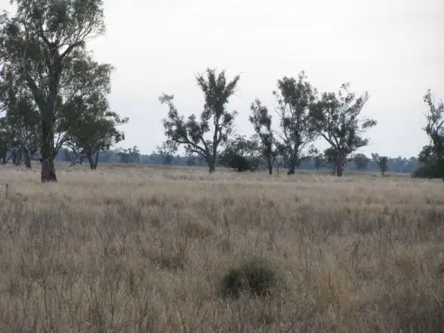 . Lot 3 Wambianna Rd, Warren NSW 2824