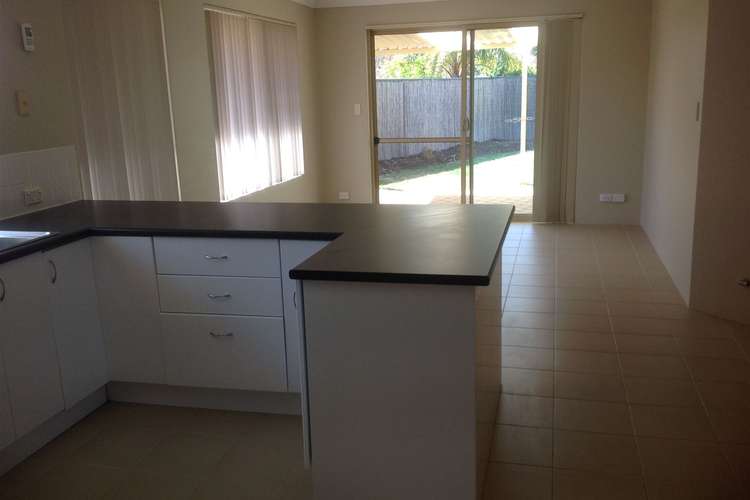 Fifth view of Homely house listing, 41 Paddington Avenue, Currambine WA 6028