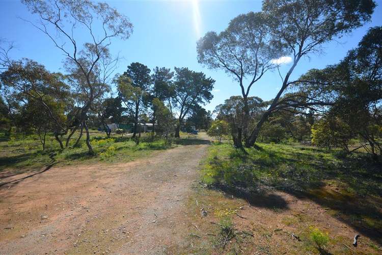 Main view of Homely lifestyle listing, 210 Westbrook Road, Tailem Bend SA 5260