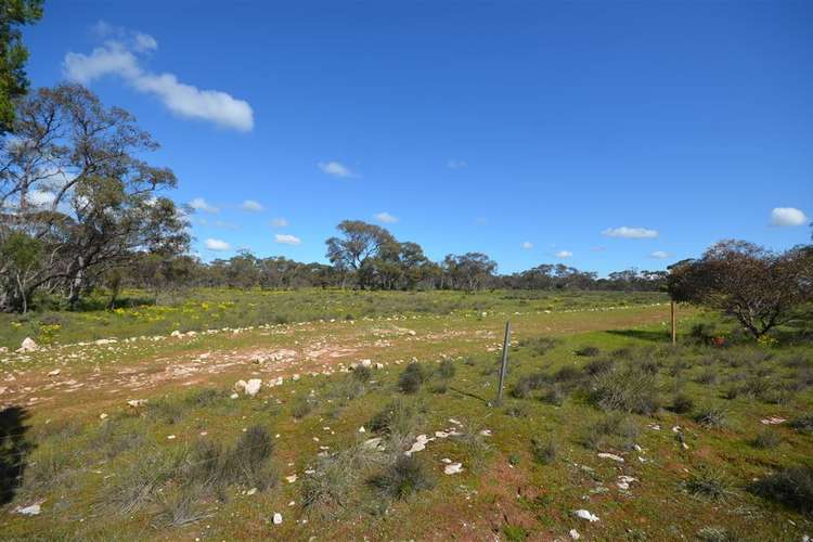 Fifth view of Homely lifestyle listing, 210 Westbrook Road, Tailem Bend SA 5260