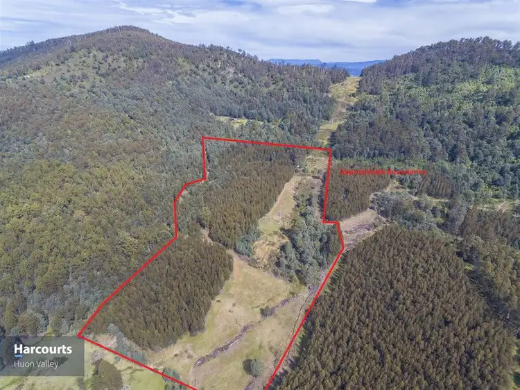 1012 Halls Track Road, Pelverata TAS 7150