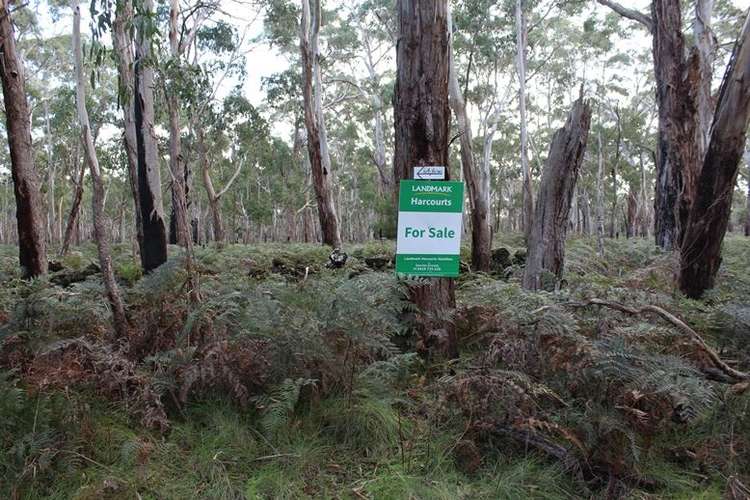 Second view of Homely ruralOther listing, 000 J Forsyth's Road, Byaduk VIC 3301