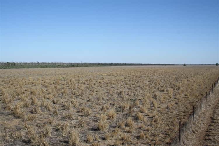 Second view of Homely ruralOther listing, 'Yarran' Pilliga Road, Coonamble NSW 2829