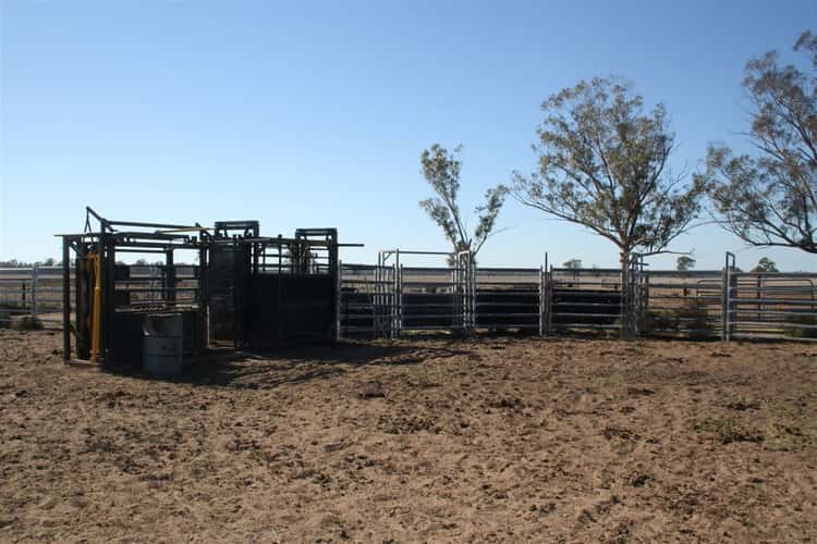 Fifth view of Homely ruralOther listing, 'Yarran' Pilliga Road, Coonamble NSW 2829