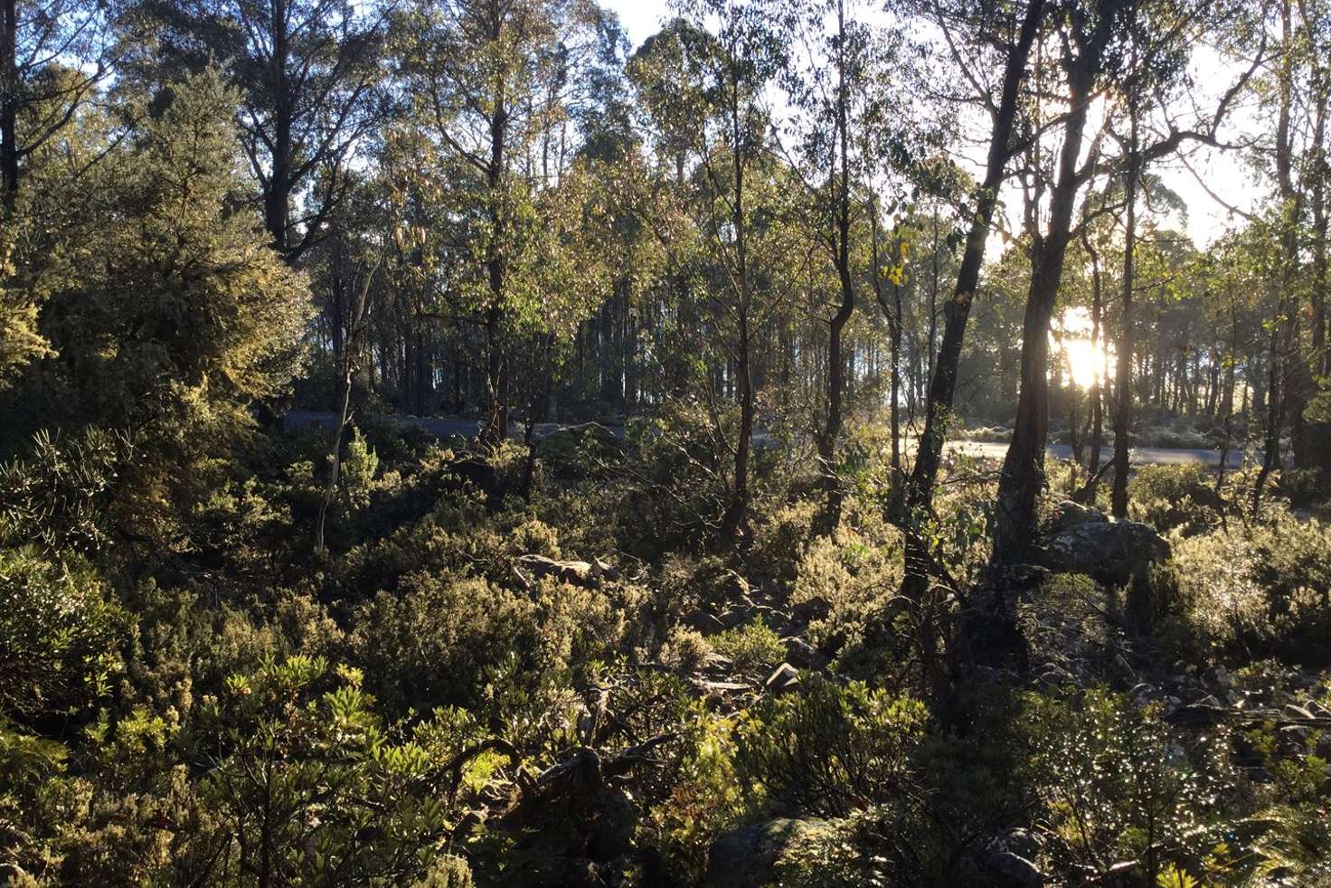 Main view of Homely residentialLand listing, 15 Arthurs Lake Road, Arthurs Lake TAS 7030