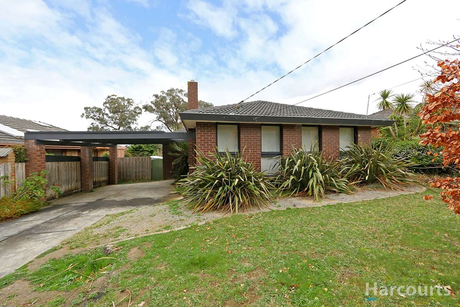 Main view of Homely house listing, 101 Daffodil Road, Boronia VIC 3155