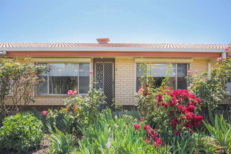 Second view of Homely unit listing, 3/7 Knott Street, Mount Barker SA 5251