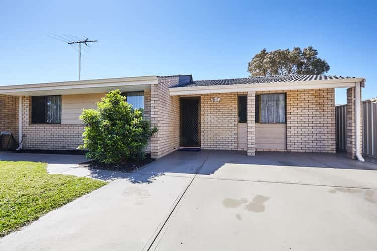 Main view of Homely house listing, 21 Honeysett Court, Hamilton Hill WA 6163