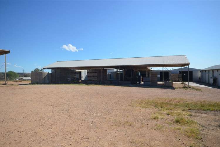 Seventh view of Homely ruralOther listing, 6977 Hunter Road, Bowhill SA 5238