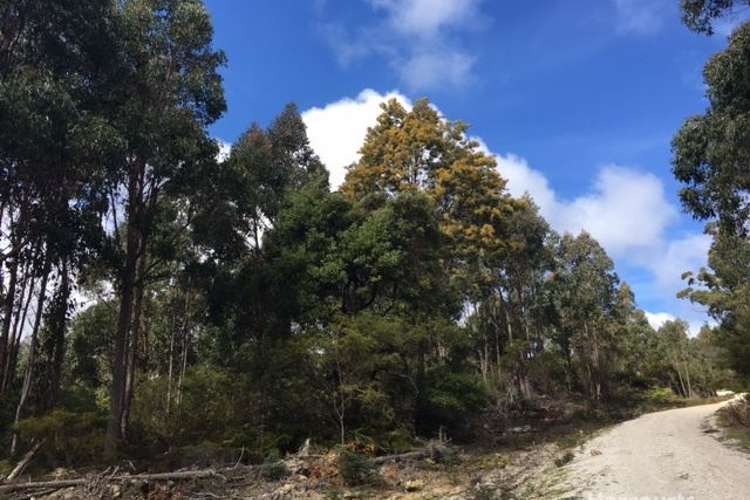 Main view of Homely residentialLand listing, Lot 1 Pipers River Road, Pipers River TAS 7252