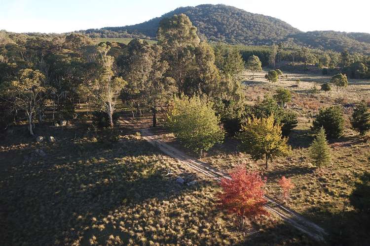 Seventh view of Homely ruralOther listing, 4 off South Forest Way, Kindervale via, Braidwood NSW 2622