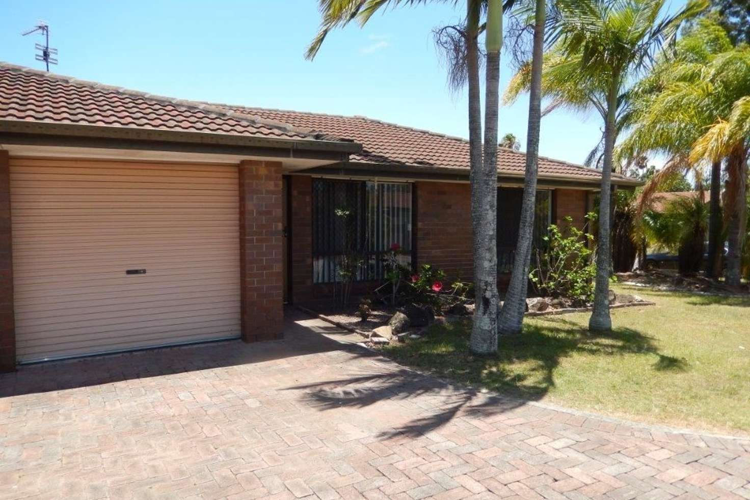 Main view of Homely semiDetached listing, 1/33 Telopea Street, Labrador QLD 4215