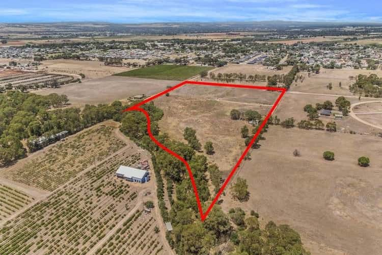 Fifth view of Homely residentialLand listing, Lot 280 Jenkins Road, Angle Vale SA 5117