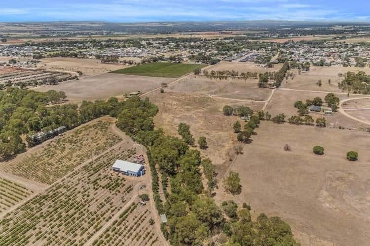 Sixth view of Homely residentialLand listing, Lot 280 Jenkins Road, Angle Vale SA 5117