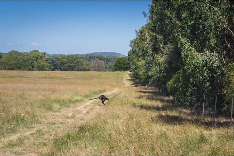 Fifth view of Homely ruralOther listing, 1193 Upper Boho Road, Boho South VIC 3669