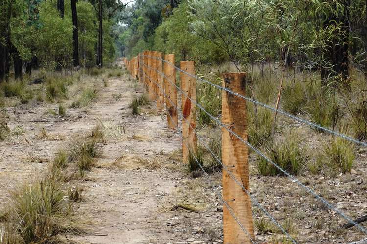 Fifth view of Homely ruralOther listing, Lot 31 Cameby Road, Chinchilla QLD 4413