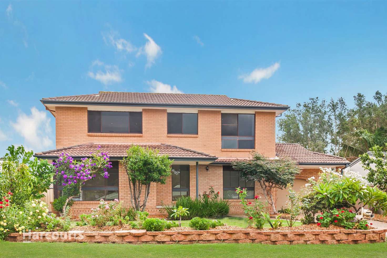 Main view of Homely house listing, 50 Cawdell Drive, Albion Park NSW 2527