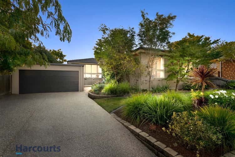 18 Donbirn Way, Vermont South VIC 3133