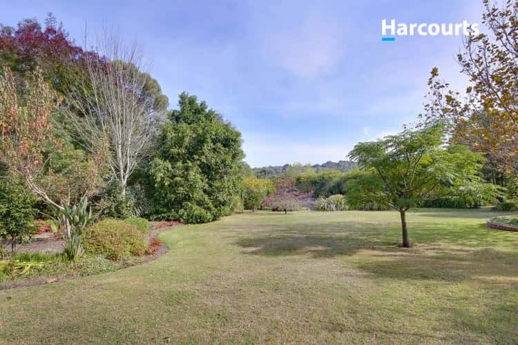 Second view of Homely acreageSemiRural listing, 186 Hendersons Road, Bittern VIC 3918