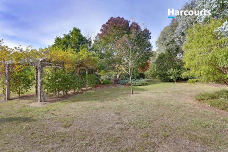 Third view of Homely acreageSemiRural listing, 186 Hendersons Road, Bittern VIC 3918