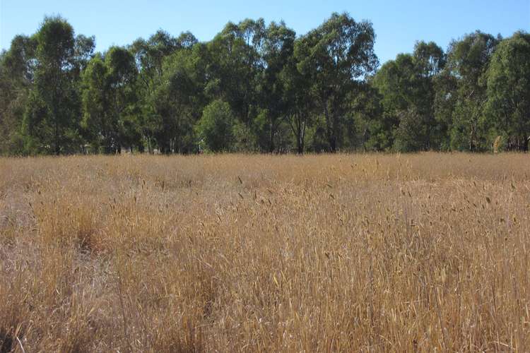 Third view of Homely ruralOther listing, 152 Arcadia Two Chain Road, Arcadia South VIC 3631