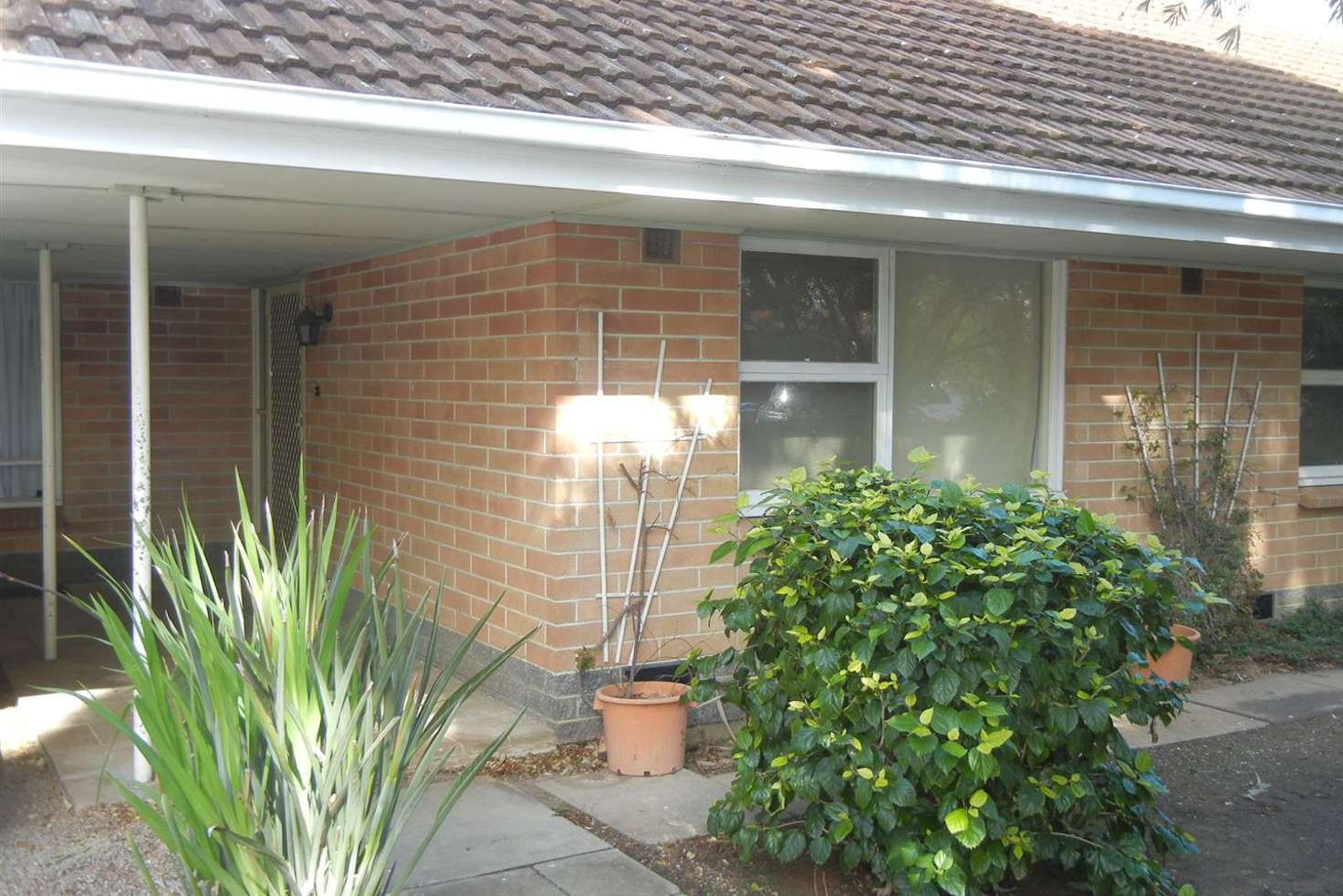 Main view of Homely house listing, 25 Valmai Avenue, Kings Park SA 5034