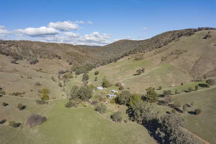 Second view of Homely ruralOther listing, 84 Davis Rd, Boho VIC 3669