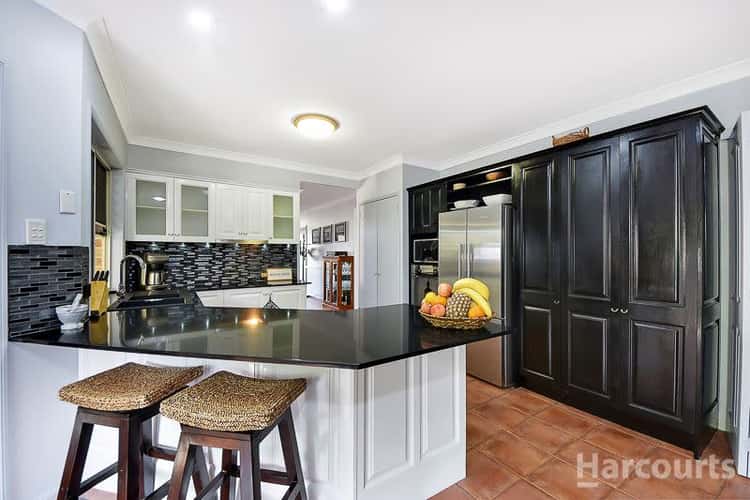 Seventh view of Homely house listing, 11 Orion Court, Bellmere QLD 4510