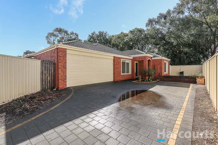 Main view of Homely house listing, 56a Wyatt Road, Bayswater WA 6053