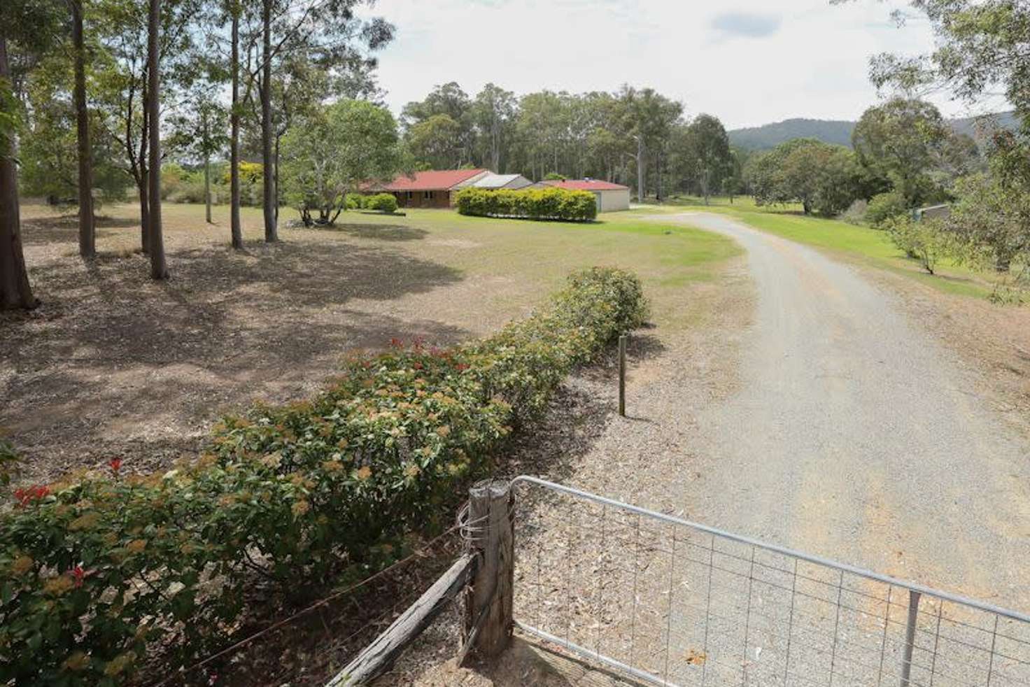 Main view of Homely acreageSemiRural listing, 59-67 Latimer Road, Logan Village QLD 4207