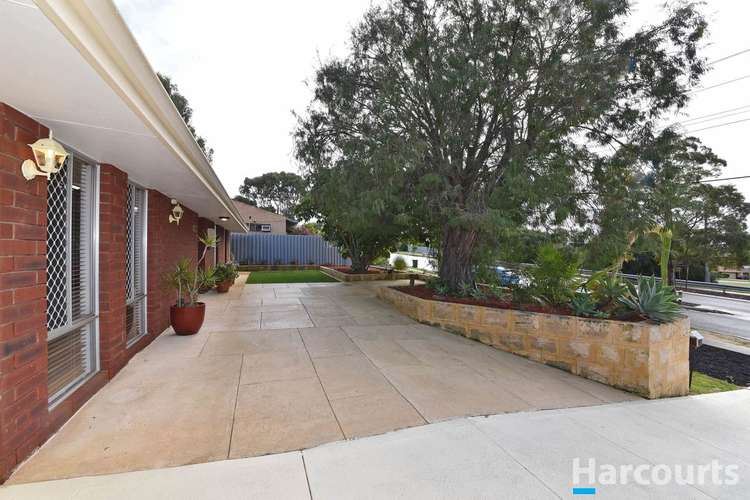 Fifth view of Homely house listing, 137 Eddystone Avenue, Craigie WA 6025