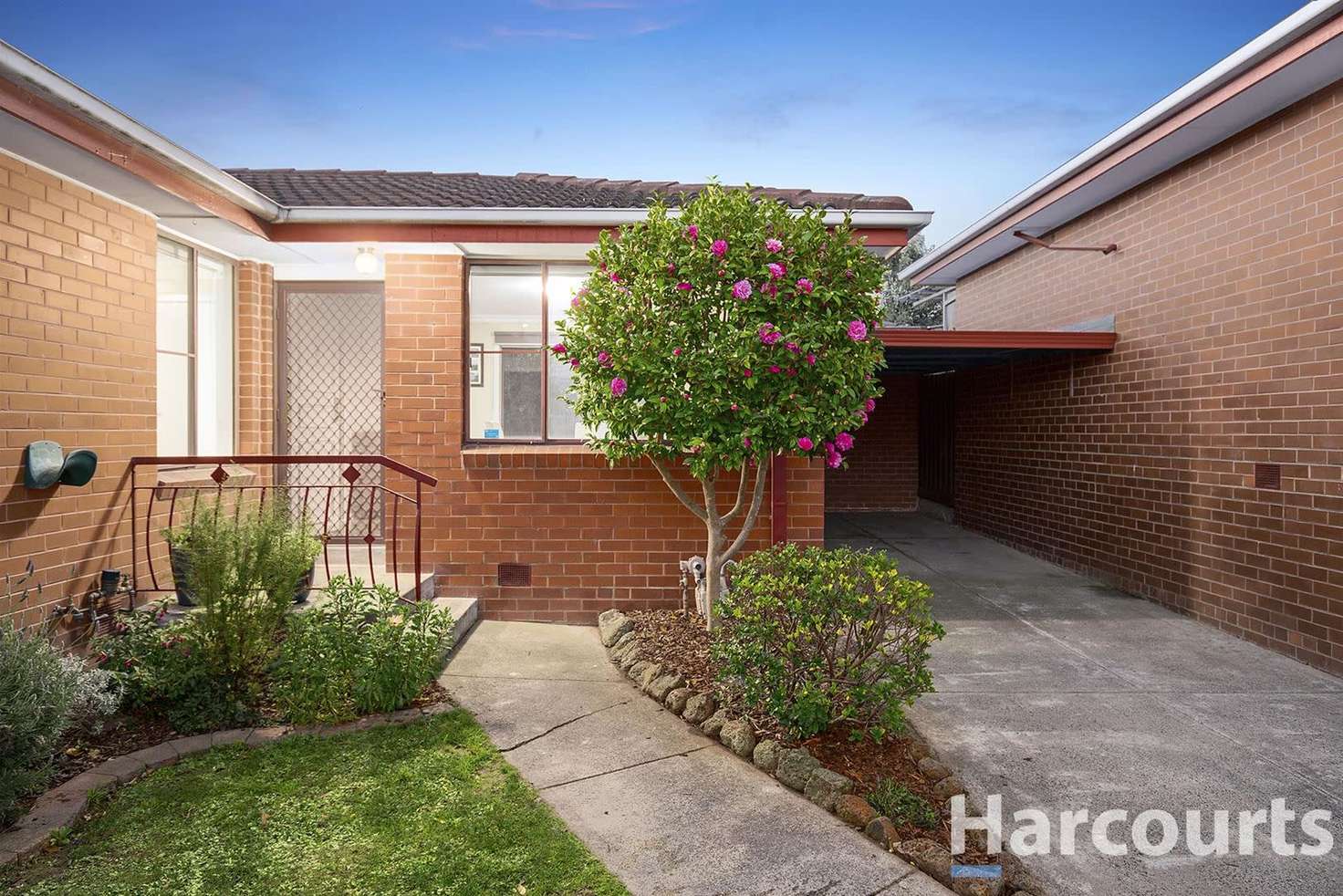 Main view of Homely unit listing, 3/12 Zeising Court, Boronia VIC 3155