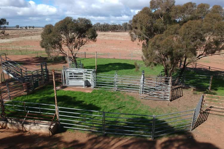 . "KANEMBO", West Wyalong NSW 2671