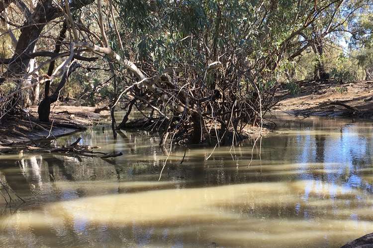 Second view of Homely ruralOther listing, ' Belarbone ', Nyngan NSW 2825